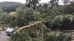Bouřky lámaly větve a stromy, někde je porost časovaná bomba