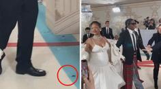 Šváb na večírku Met Gala? Podívejte se, jak zareagovali lidé na místě