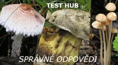 TEST hub - 2. kolo: Správné odpovědi