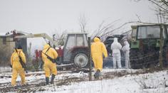 V Německu propukla nová nákaza. Virus se v Česku neobjevil už půl století