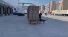 Kokain ze supermarketů míří do skladu policie. Může tam zůstat i několik měsíců