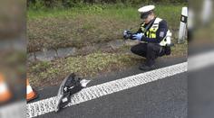 Tragická nehoda na Kroměřížsku. Jeden člověk zemřel, další čtyři se zranili