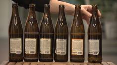 Nadměrné pití alkoholu mění lidem mozek. Pomůže jedna důležitá věc