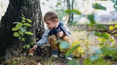 Houbám se teď v lesích velmi daří! Podívejte se, kam na ně vyrazit. PŘEHLED