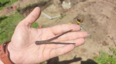 Historický nález v Polsku. Mohlo to patřit Koperníkovi, jásají archeologové