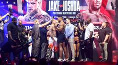 Paul je bez šance, říkají o jeho exhibici s boxerskou ikonou čeští experti