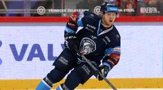 Flynn dostal stopku na čtyři zápasy. Tresty znají i další hráči