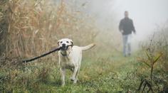 Česko pohltila mlha, žene se déšť. Meteorologové ukázali mapy