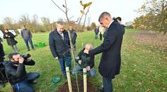 Politici sázeli v Průhonicích stromy, mají pomoci s klimatickými změnami