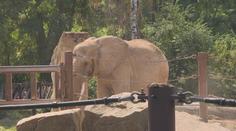 Zoo Praha získá nečekané jmění. Neznámá dárkyně jí odkázala milionový majetek