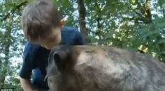 Pitbul zachránil život chlapci (8)! Neuvěříte, jakým způsobem