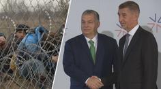 Babiš chce do Maďarska poslat policisty. Hlídali by hranici obehnanou plotem