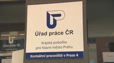 Uprchlíci z Ukrajiny se zabydlují v Česku. Snaží si najít práci