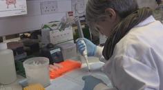 Koronavirus je stále záhadou. Tohle všechno o něm vědci už zjistili!