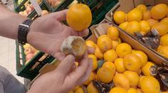 Inspekce obchodů v Náchodě byla žalostná. Plíseň tam prolezla i do regálů