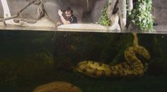 VÍKEND: Výjímečné záběry ze zoologických zahrad