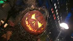 Patrik, Halloween, Valentýn. Češi slaví cizí svátky, utrácí tisíce!