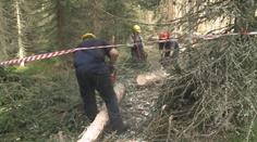 Kvůli kalamitám bylo moc dřeva. Lesům ČR klesl zisk o čtvrtinu.