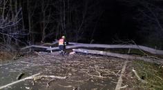 VÝSTRAHA: Meteorologové varují! Silný vítr zasáhne velkou část Česka