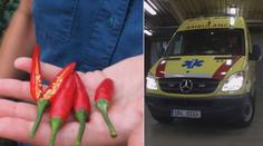 Lékař si přivoněl k chilli, málem zemřel! Sanita přijela v poslední chvíli