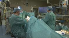 Transplantaci potřebuje přes tisíc Čechů. Orgánů je ale nedostatek, tvrdí lékaři
