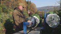 Lesníci hlásí skvělou úrodu. Letošní vánoční stromečky budou obzvlášť pěkné