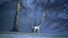 O víkendu si naposledy užijete teploty přes 10 °C, příští týden se výrazně ochladí