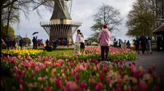 V zemi tulipánů začala jarní slavnost. Otevřela se nejkrásnější květinová zahrada