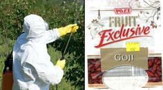 V superpotravině našli pesticidy! Inspekce varuje před goji