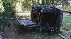 Audi vylétlo z dálnice D7 a skončilo na zahradě! Cestou lámalo stromy
