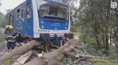 Osobní vlak na Domažlicku narazil do stromu a vykolejil
