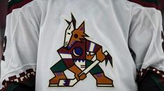 Vejmelka se s Arizonou stěhuje, Coyotes budou hrát na nejmenším stadionu NHL