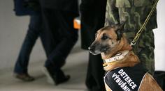 Příslušník policejního sboru kousnul pekaře a dostal padáka