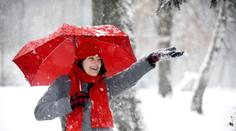 Jaká bude zima? Co napovídají včely, veverky, cibule i meteorolog
