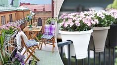 Vylepšete na jaře svůj balkon: Inspirujte se nápady v GALERII!