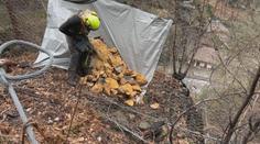 V Hřensku se zřítil dvoutunový balvan. Podobných případů prý může přibývat