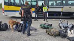 Tvrdé drogy a znásilněná žena. Na festivalu v Milovicích zasahovala policie