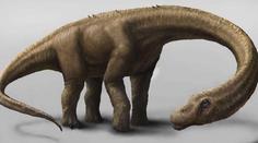 UNIKÁT: Vykopali kosterní pozůstatky největšího dinosaura!