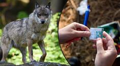 Nebezpečná hra v pražské zoo: Hledači kešek riskují mezi zvířaty!