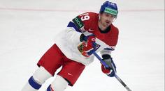 Oslavy? Slabší kusy odpadávají, směje se Flek. Během play-off ležel v horečkách