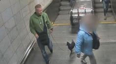 Policie hledá tři muže kvůli únosu psa v metru. Zvíře pak našli zmrzačené na ulici