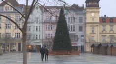 Boj o vánoční stromek v Ostravě: Plastový, nebo přírodní?