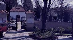 Horor u hřbitova. Našli tam auto s prasečí hlavou a zabodnutým nožem
