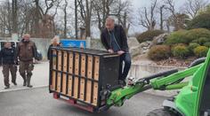 Mláďata medvěda plavého mají nový domov. Odcestovala do Indonésie