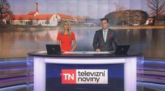 Žalobce navrhl zastavit Babišovo stíhání v kauze Čapí hnízdo