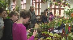 Brno láká na unikátní výstavu. V tamní botanické zahradě vystavují tisíce orchidejí