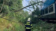 Zdržení na železnici: Provoz mezi Prahou a Benešovem ráno zastavil spadlý strom
