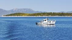 U Chorvatska potkali v moři třímetrového žraloka. Vynořil se vedle lodi