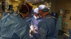 První člověk s transplantovanou prasečí ledvinou po dvou měsících zemřel
