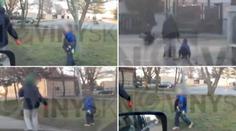 Babička venčila vnuka na vodítku! Psychologové jsou zděšeni